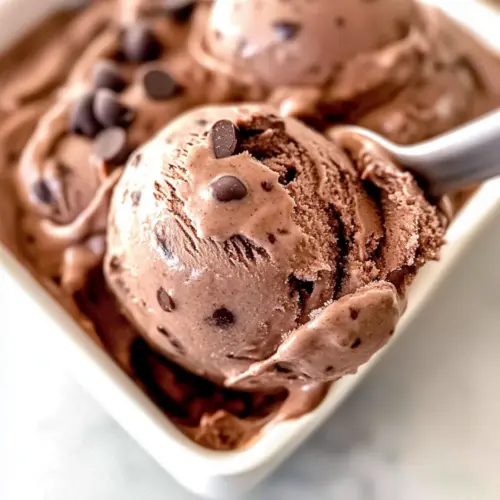 Chocolate Chocolate Chip Ice Cream